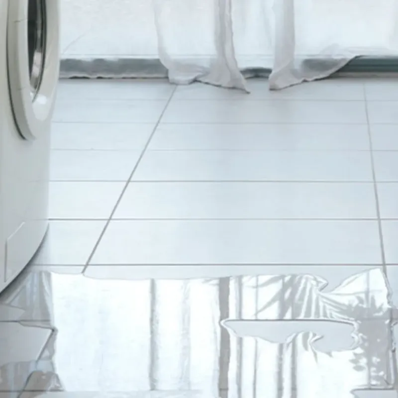 Appliance Leak Cleanup in Bethany, IL