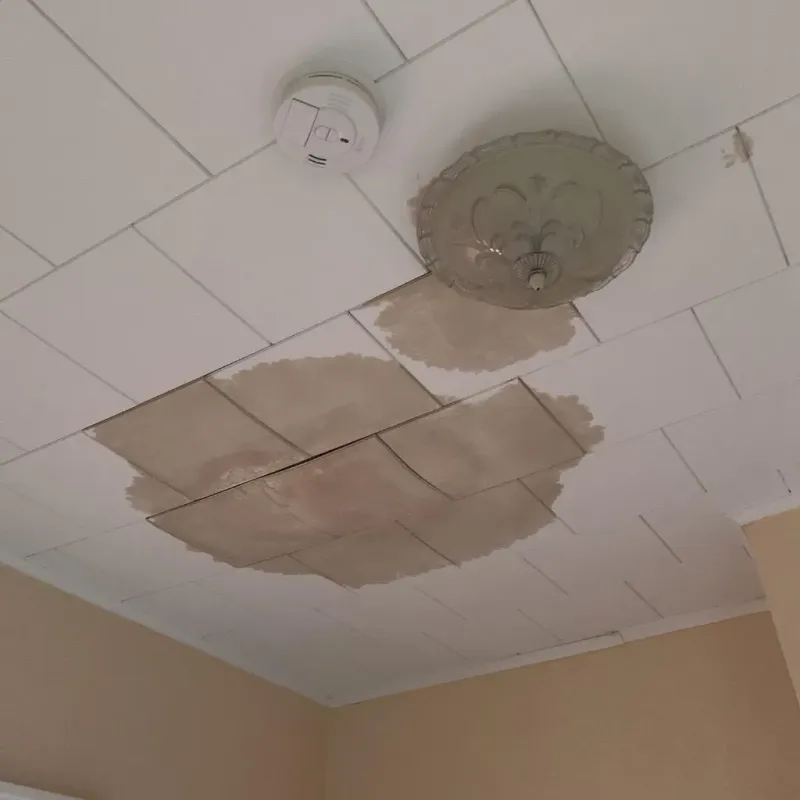 Ceiling Water Damage Repair in Bethany, IL