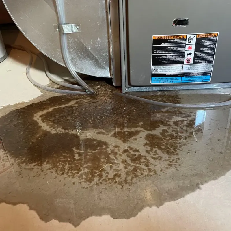 Pipe Burst and Leak Restoration in Bethany, IL