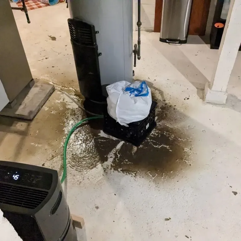 Sewage Backup Cleanup Service in Bethany, IL